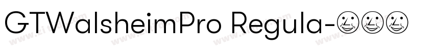 GTWalsheimPro Regula字体转换 GTWalsheimPro Regula字体转换